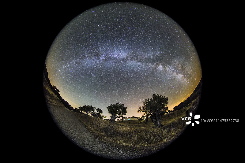 树木上方的银河系全景图像图片素材