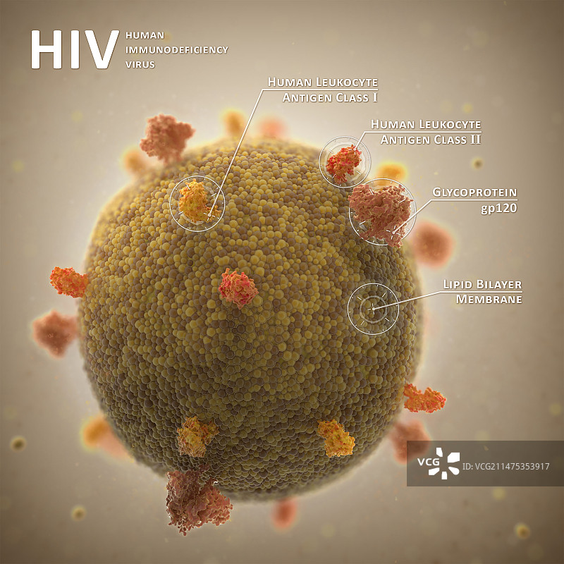 艾滋病病毒颗粒，图示图片素材