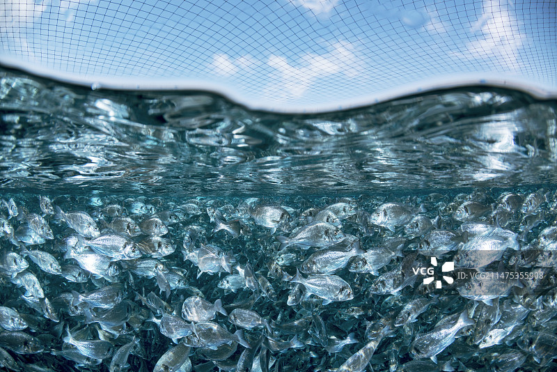 地中海养鱼场图片素材