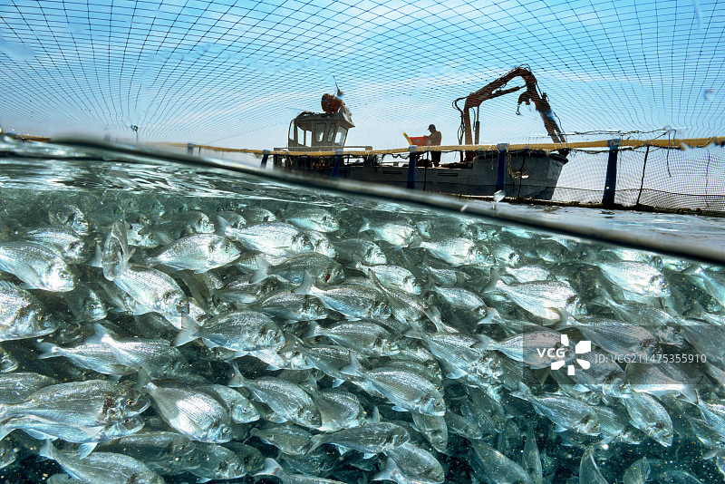 地中海养鱼场图片素材