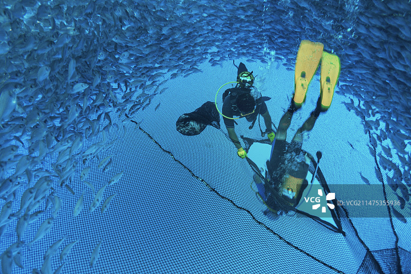 地中海养鱼场图片素材