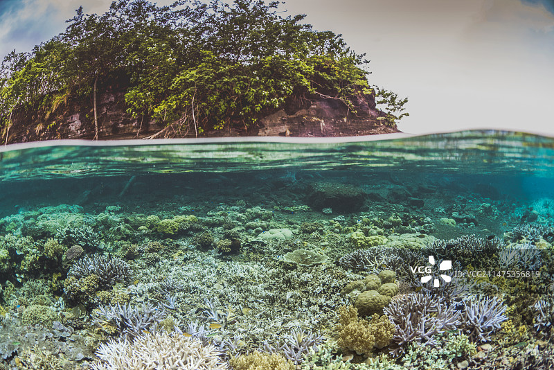 浅珊瑚礁和岛屿的分层景观图片素材