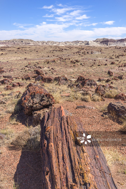 美国亚利桑那州石化森林国家公园图片素材