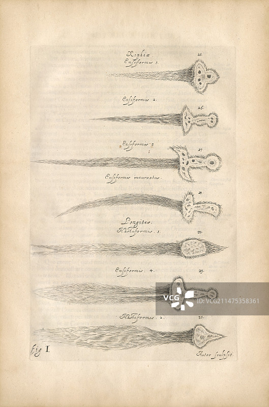 彗星的类型，1668年图解图片素材