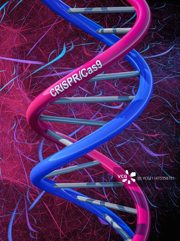 带有CRISPR-Cas9文本的DNA模型插图图片素材