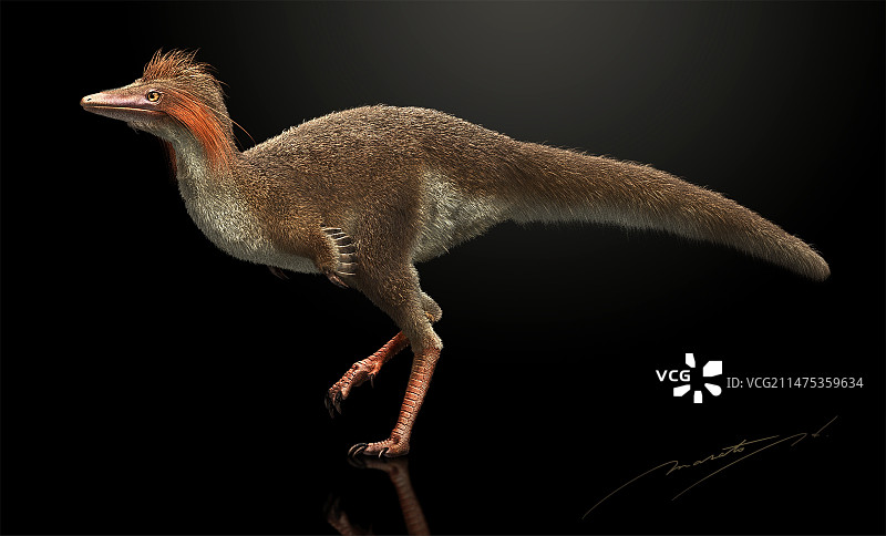 阿尔比尼克斯恐龙插图图片素材