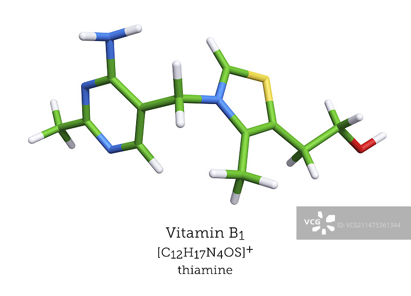 维生素B1分子模型图片素材