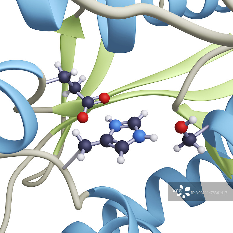 乙酰胆碱酯酶活性位点结构图片素材
