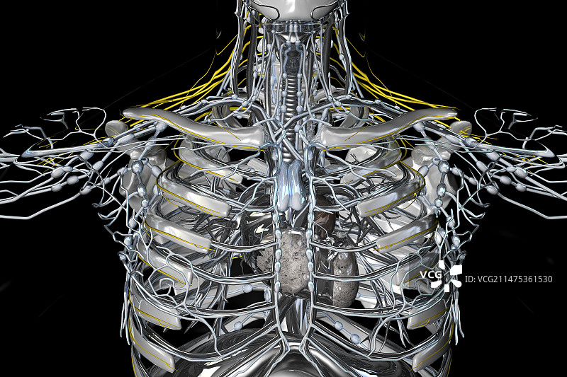 控制论与人类结构插画图片素材
