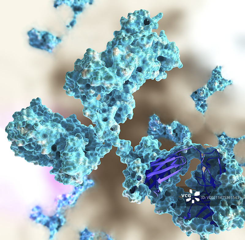 抗体，图示图片素材