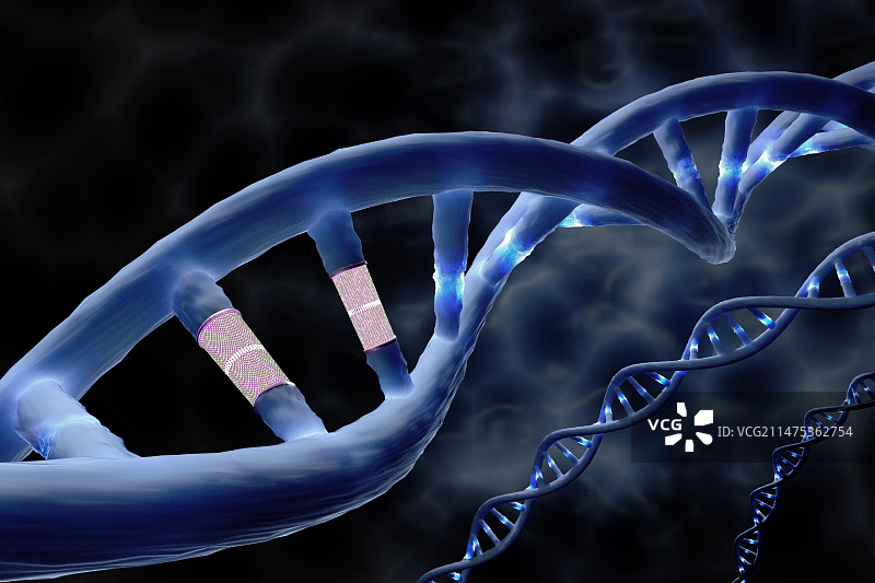 DNA编辑和修复概念插图图片素材