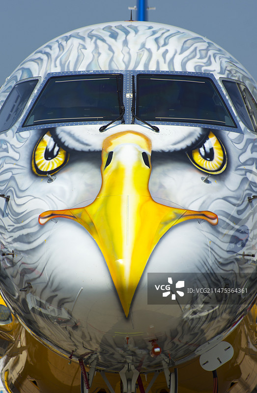 飞机老鹰面图片素材