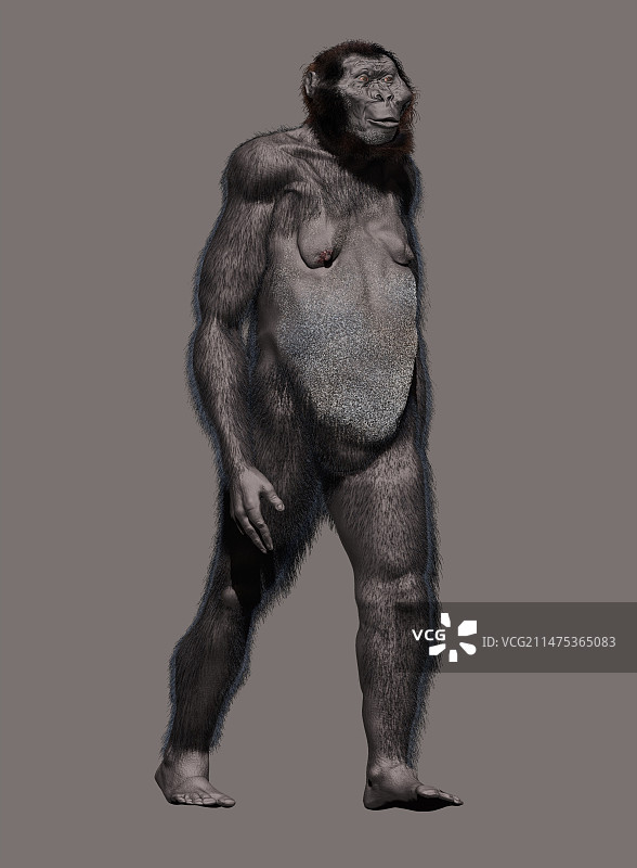 傍人粗壮种图片素材