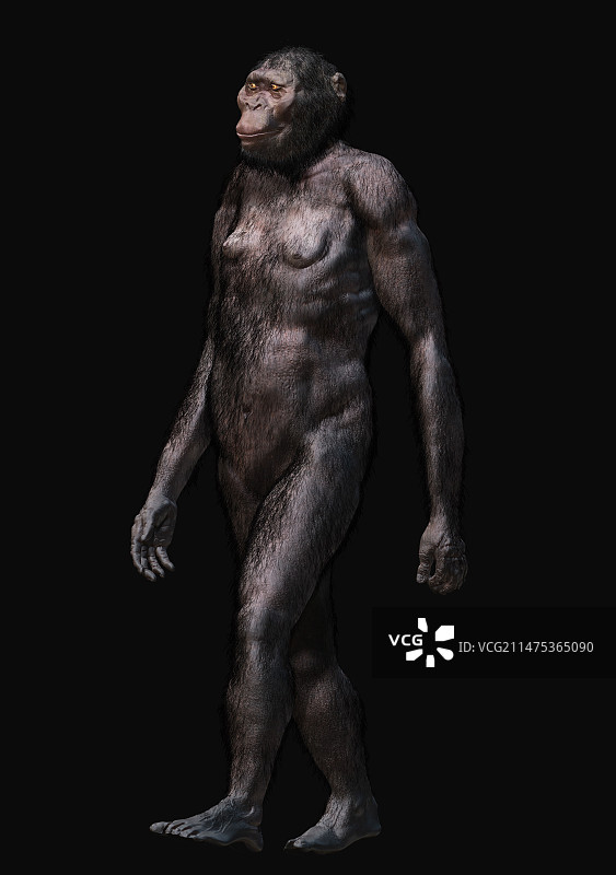 傍人粗壮种图片素材