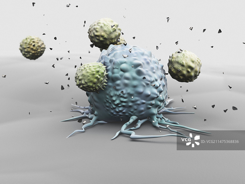 自然杀伤细胞攻击癌细胞，图示图片素材