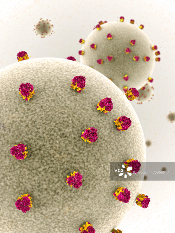 拉沙病毒颗粒插图图片素材