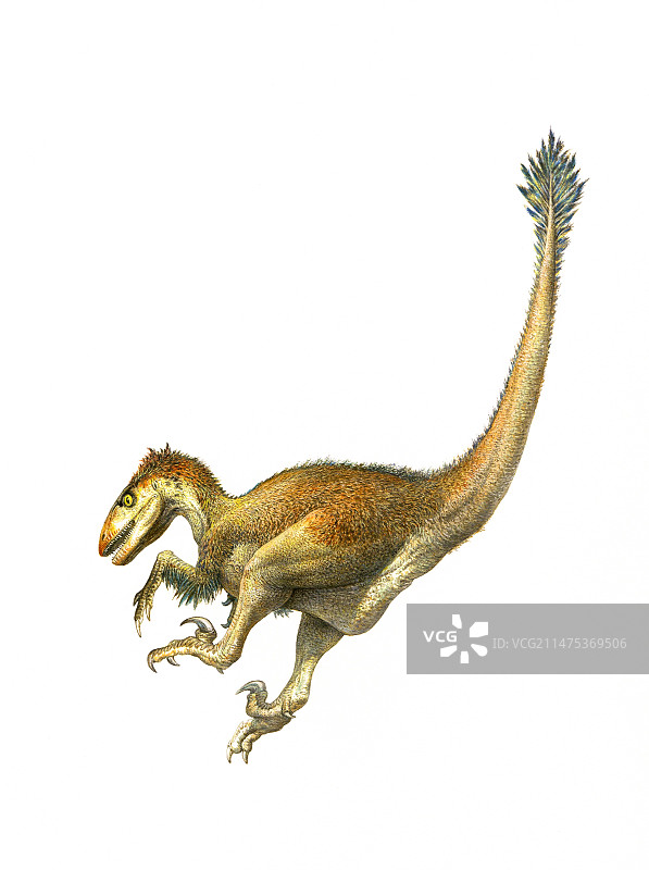 恐爪龙插画图片素材