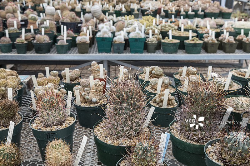 美国奇瓦瓦沙漠研究所图片素材