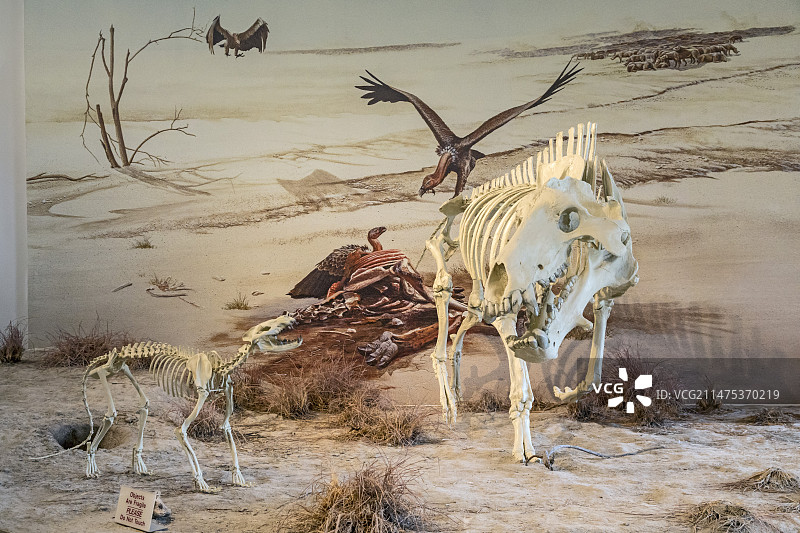 美国玛瑙化石床国家纪念地图片素材