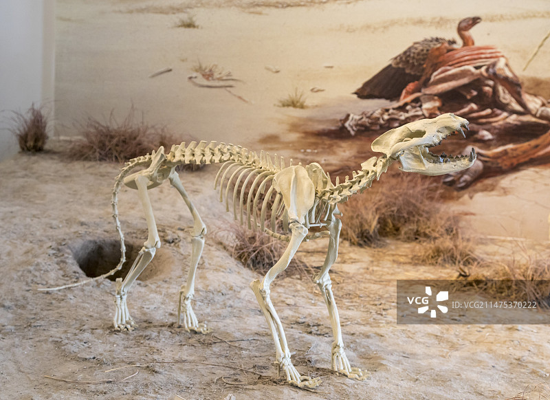 美国玛瑙化石床国家纪念地图片素材