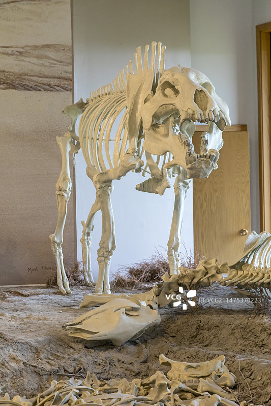 美国玛瑙化石床国家纪念地图片素材