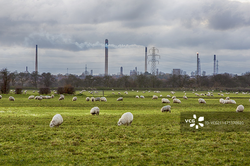 英国迪赛德的石化工厂图片素材