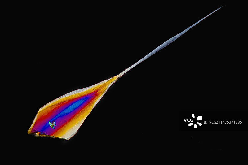 酪氨酸晶体，光学显微照片图片素材