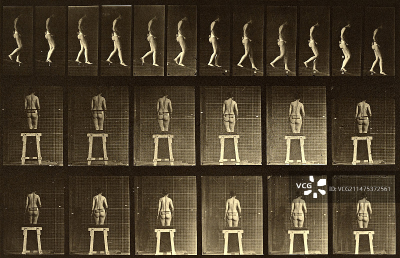 女子行走， Muybridge运动研究，19世纪80年代图片素材