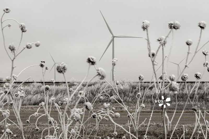 冬季的风力涡轮机图片素材