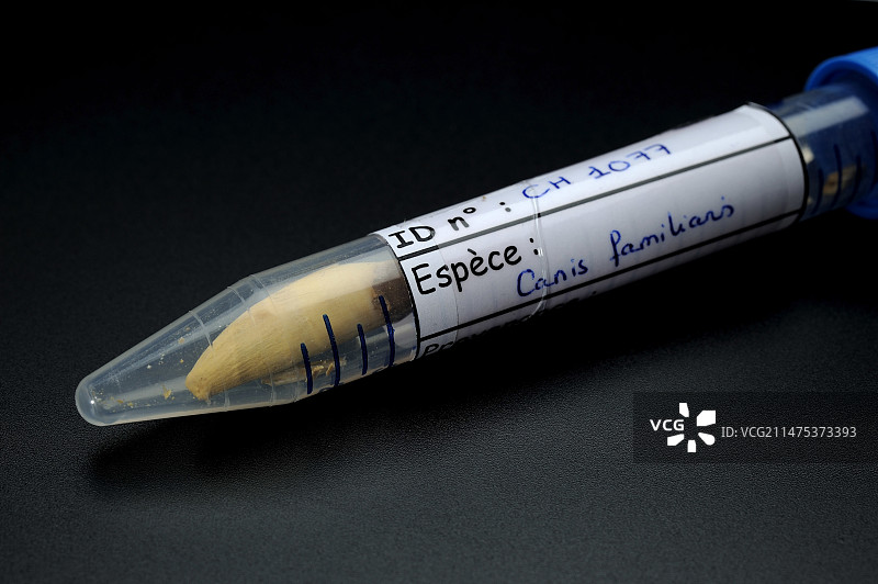 古遗传学实验室图片素材