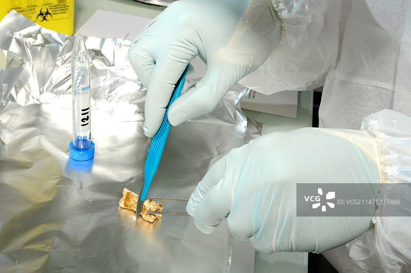 古遗传学实验室图片素材