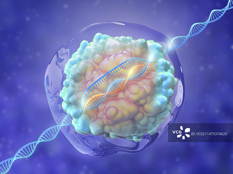 CRISPR-Cas9基因编辑复合体插图图片素材