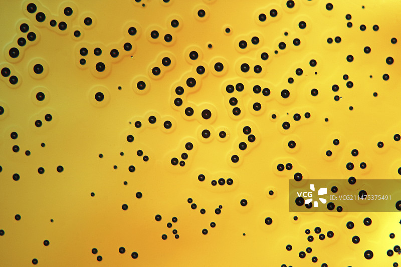 偏振光显微照片：晶体融化中的气泡图片素材