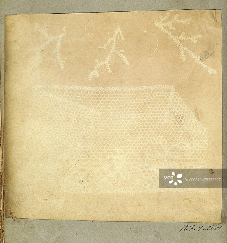 塔尔博特于1839年拍摄的蕾丝和苔藓图片素材