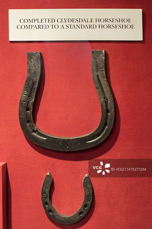 克莱兹代尔马和标准马蹄铁图片素材