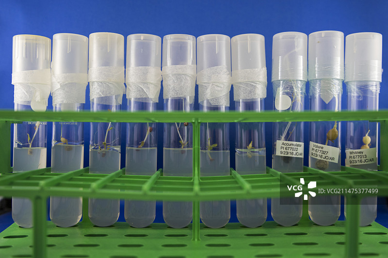 美国国家遗传资源保护实验室图片素材