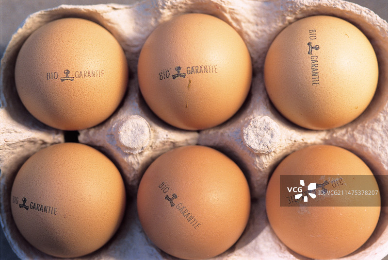 六个鸡蛋图片素材