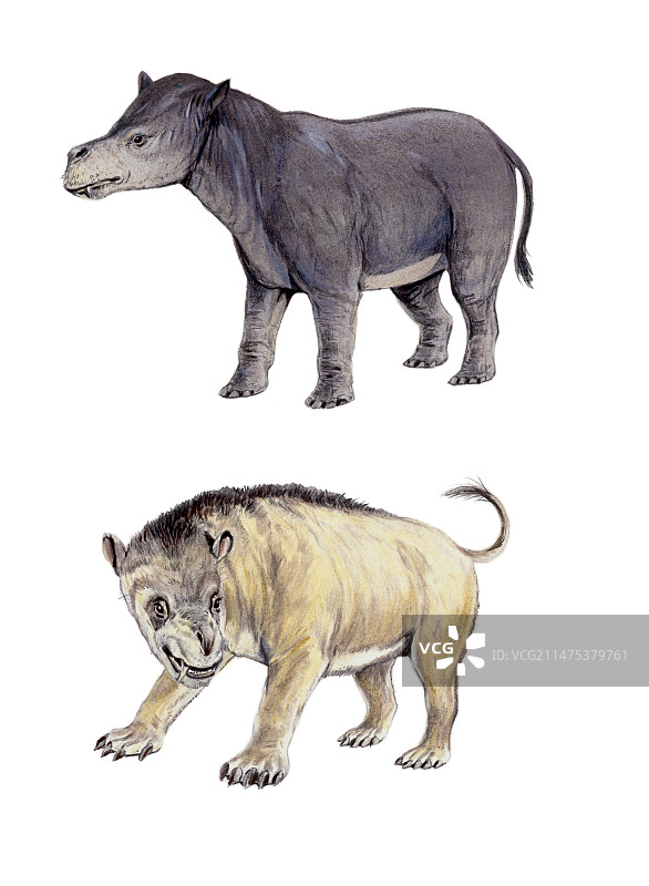 科里弗顿和泰坦兽插画图片素材