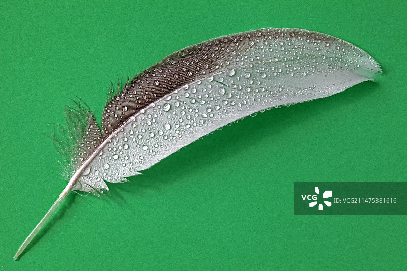 水的排斥性图片素材