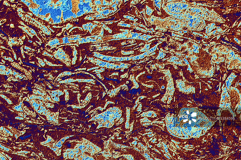 偏光镜下的贝壳石灰石图片素材