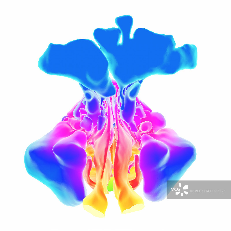 鼻旁窦，3D CT扫描图片素材