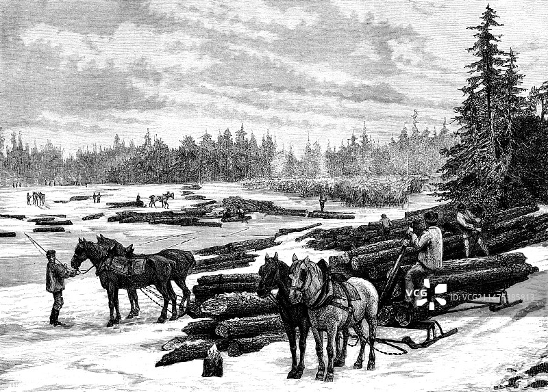 19世纪加拿大伐木工人插图图片素材
