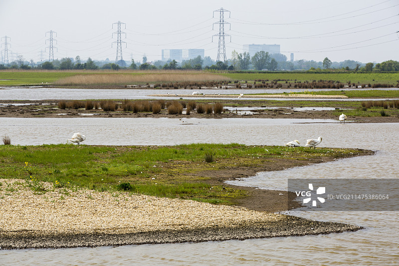 英国萨默塞特斯特尔特沼泽湿地保护区图片素材