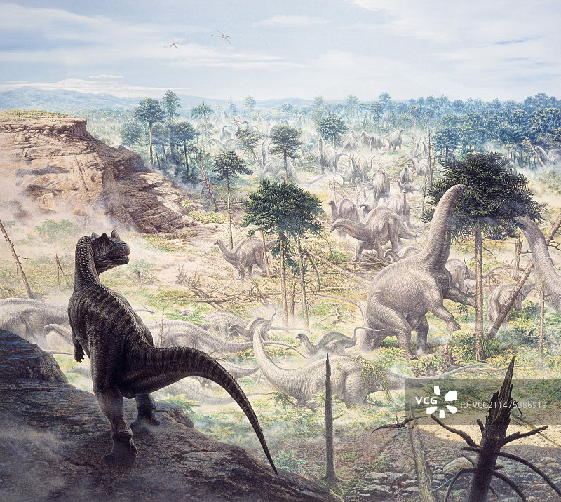 角鼻龙和迷惑龙群插画图片素材