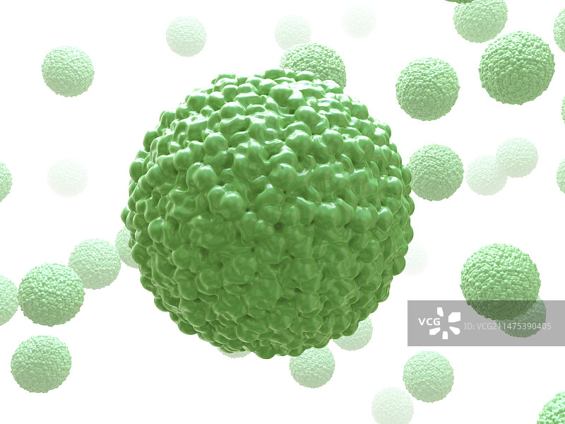 寨卡病毒颗粒插图图片素材