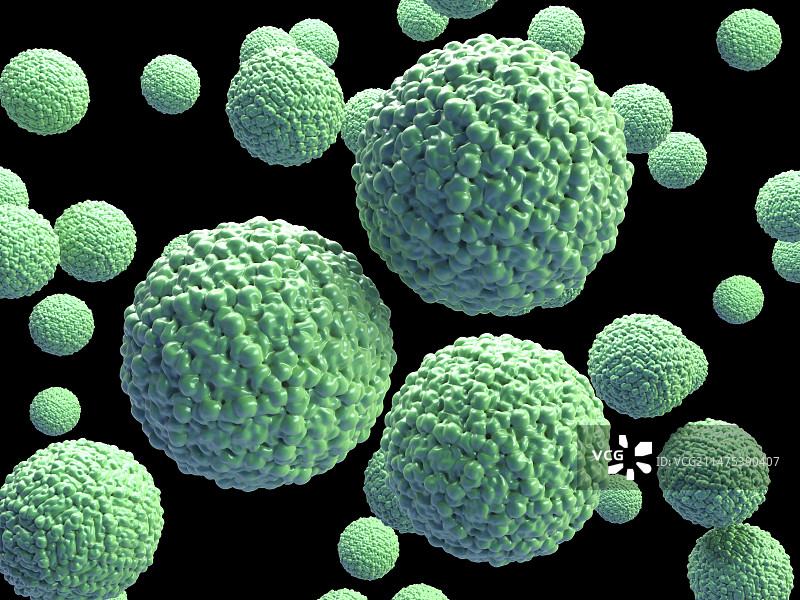 寨卡病毒颗粒插图图片素材