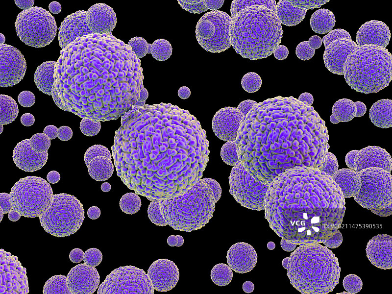 寨卡病毒颗粒插图图片素材