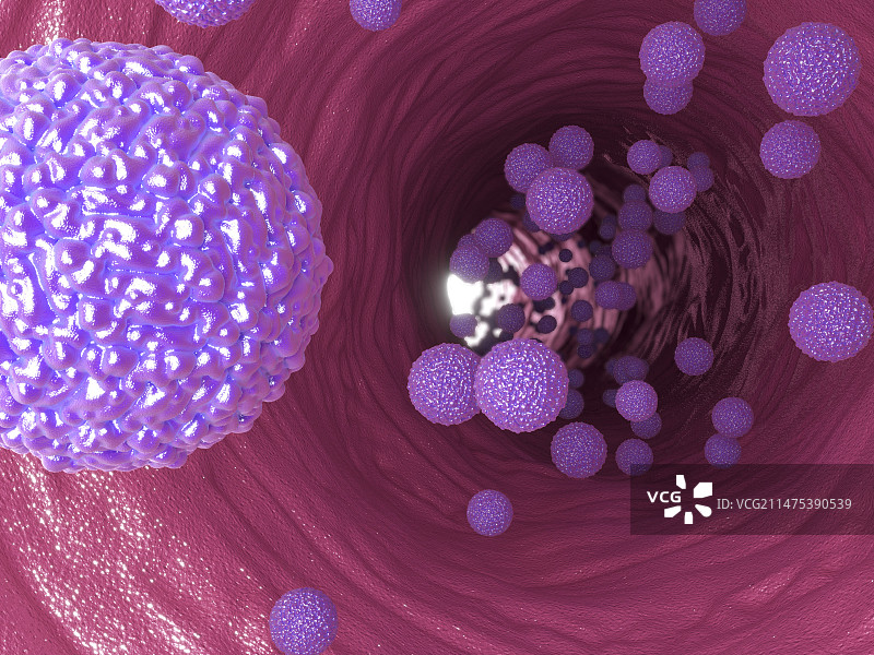 血管中的寨卡病毒插图图片素材