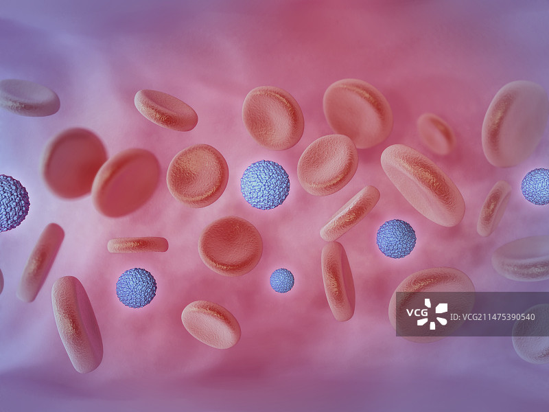 血液中的寨卡病毒图片素材
