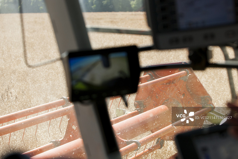 油菜籽收割图片素材